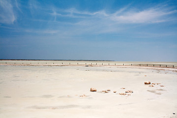 Image showing Etosha pan