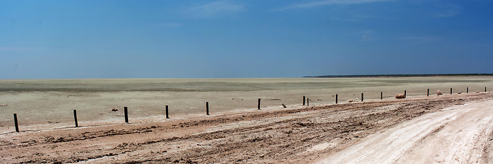 Image showing Etosha pan