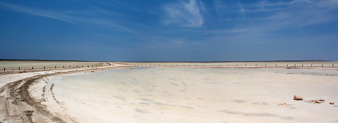 Image showing Etosha pan