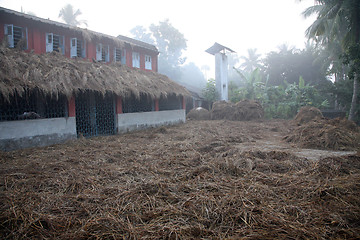 Image showing Morning after slugging rice straw is dried