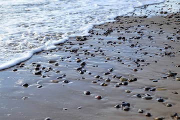 Image showing  the beach 