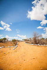 Image showing Savana road