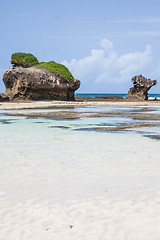 Image showing Malindi Beach