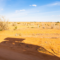 Image showing Safari Vehicles silhouettes