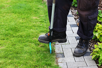 Image showing Garden care