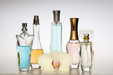 Image showing Perfume bottles