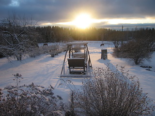 Image showing Sun Greets Winter