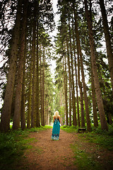 Image showing woman walking in the fir woods