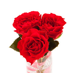 Image showing three roses isolated 