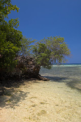 Image showing Tropical beach