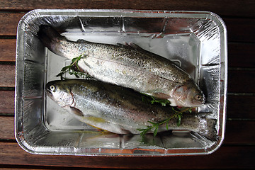 Image showing raw trout fishes