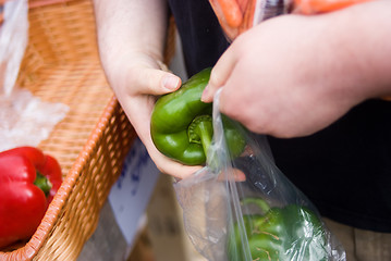 Image showing Bagging green pepper