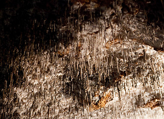 Image showing Jenolan Caves