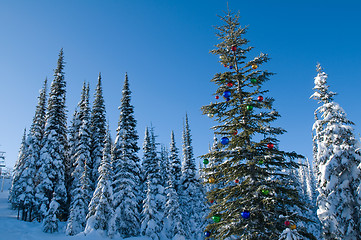 Image showing Decorated seasonal tree in a winter forest