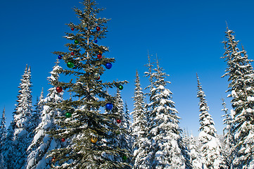 Image showing Decorated seasonal tree in a winter forest