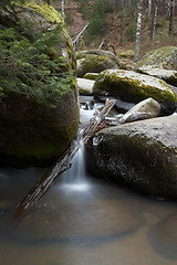 Image showing Belokurikha river