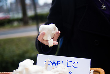 Image showing Picking a garlic clove