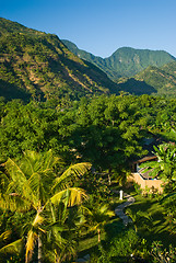 Image showing Bali path and landscape