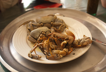 Image showing Hard shelled crabs
