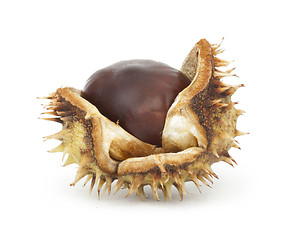 Image showing Chestnuts with shell