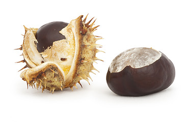 Image showing Chestnuts with shell