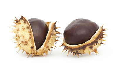 Image showing Chestnuts with shell