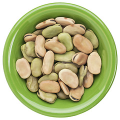 Image showing fava (broad) bean