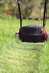 Image showing Lawn-mower cuts a grass