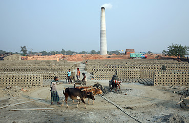 Image showing Brick field in Sarberia, West Bengal, India