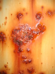 Image showing Rusty metal