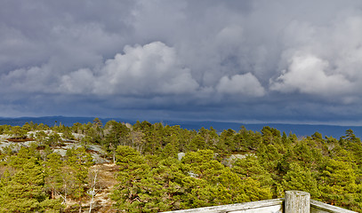 Image showing view over forest with cloudy sky