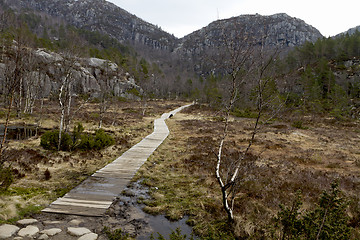 Image showing wooden track in rural landscape