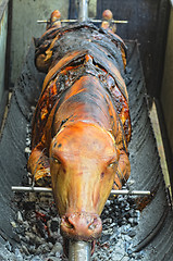Image showing Roasted Cow