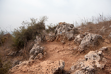 Image showing upper galilee natural reserve