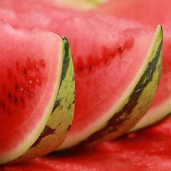 Image showing Slices of watermelon