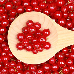 Image showing Red currants