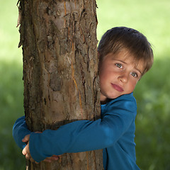 Image showing Little boy embracing a tree