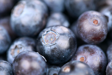 Image showing Blueberries