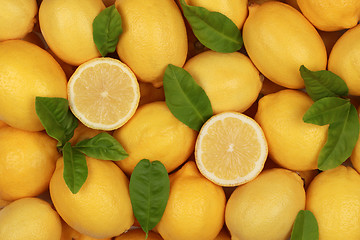 Image showing Lemons