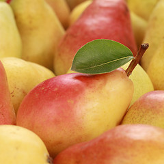 Image showing Ripe pears