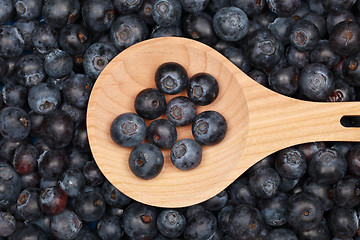 Image showing Blueberries on a wooden spoon