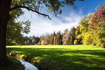 Image showing Garden in Pruhonice