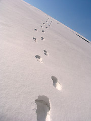 Image showing Footsteps on the snow