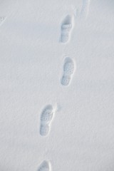 Image showing Footprints