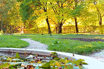 Image showing alley in the park at dusk