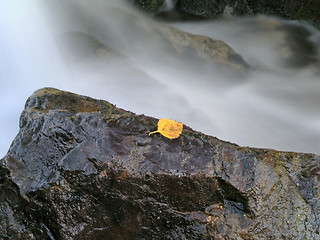 Image showing mountain stream