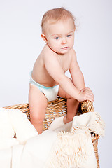 Image showing cute little baby infant in basket with teddy 