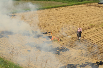 Image showing Autumn work