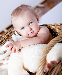 Image showing cute little baby infant in basket with teddy 