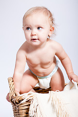 Image showing cute little baby infant in basket with teddy 